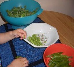 Attività di vita pratica Montessori - cucinare 5