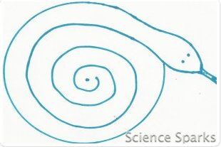 Esperimenti scientifici per bambini - Un serpente a moto convettivo 2