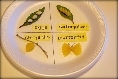 Lavoretti per la primavera: farfalle, bruchi e libellule - 50 e più progetti