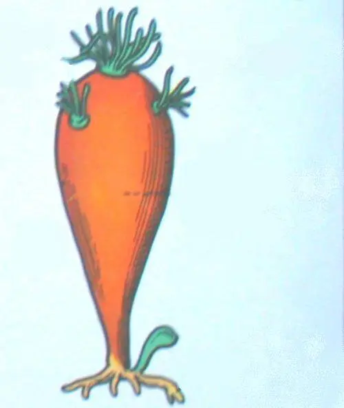 alga giovane