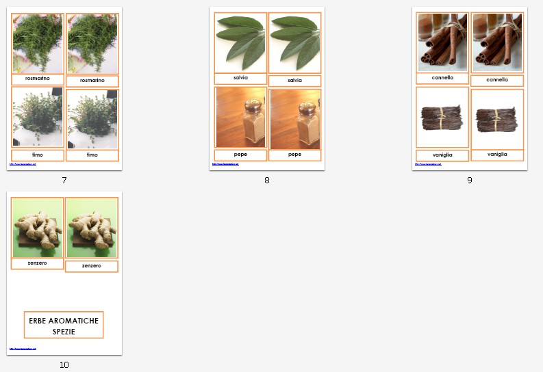 nomenclature 3-6 anni ERBE AROMATICHE E SPEZIE39