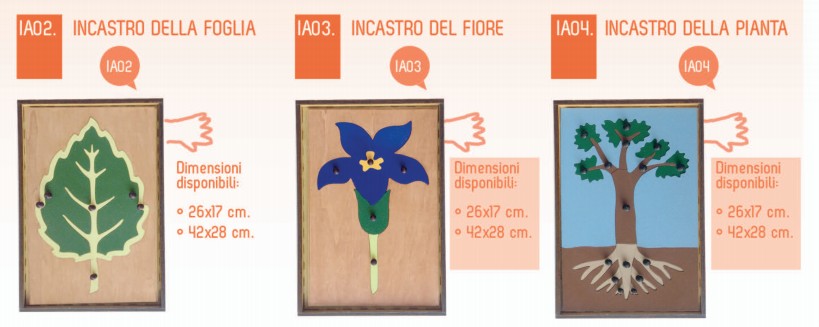 puzzle botanica 26