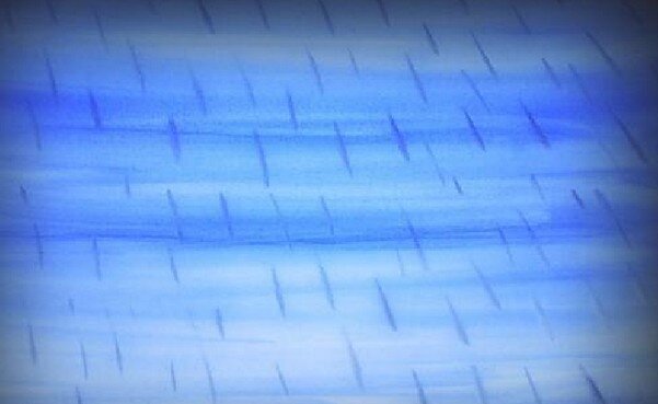 Acquarello steineriano - Un lavoro sul ciclo delle stagioni e l’albero per arte e immagine 6