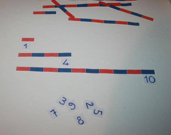 aste-numeriche-122