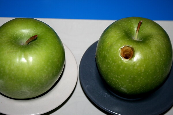 Oral care: experiment of the "decayed" apple 