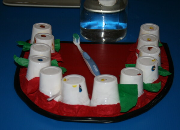 modello denti con bicchierini11