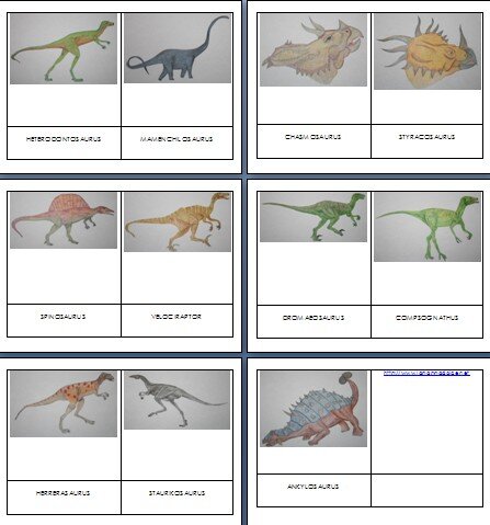 Dinosauri - nomenclature Montessori