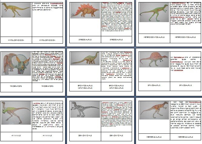 Dinosauri - nomenclature Montessori