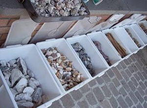 lavoretti per l'autunno 110 e più progetti creativi da realizzare coi bambini 14