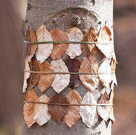 lavoretti per l'autunno 110 e più progetti creativi da realizzare coi bambini 27