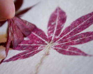 lavoretti per l'autunno 110 e più progetti creativi da realizzare coi bambini 38