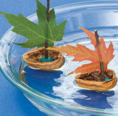 lavoretti per l'autunno 110 e più progetti creativi da realizzare coi bambini 69