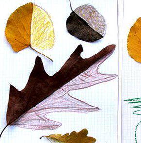 lavoretti per l'autunno 110 e più progetti creativi da realizzare coi bambini 86