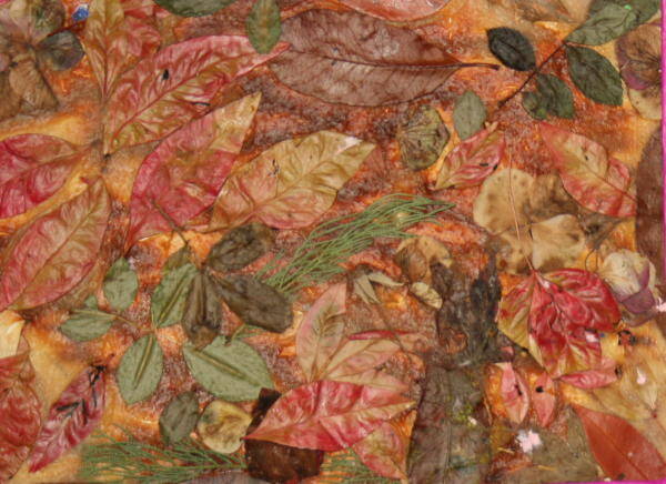 Lavoretti per l'autunno - Collage di foglie