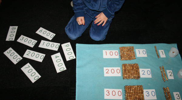 Esercizi coi cartelli dei numeri e le perle dorate Montessori 