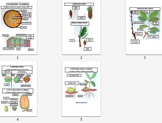 download understanding