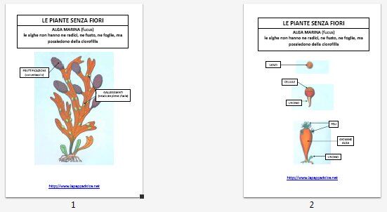 ALGHE tavole riassuntive e schede