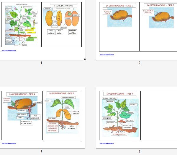 download functional analysis. topological vector spaces