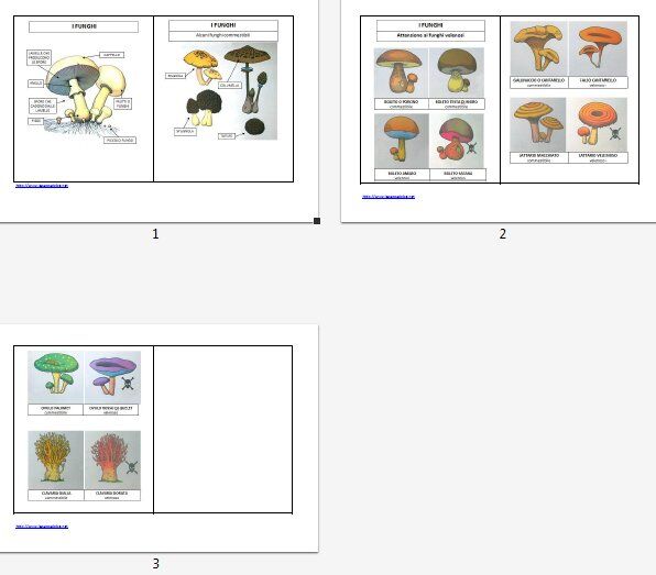 FUNGHI tavole riassuntive e schede