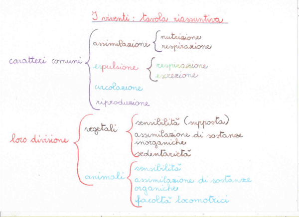 Introduzione alla biologia 9