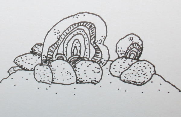 archeano stromatoliti 1