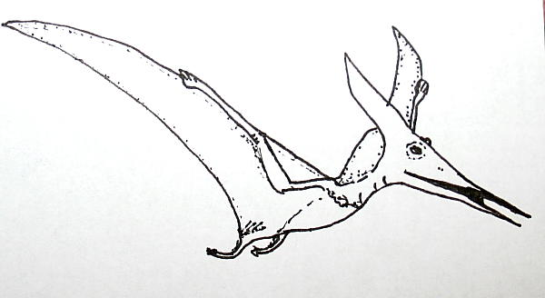 pterosauri 130