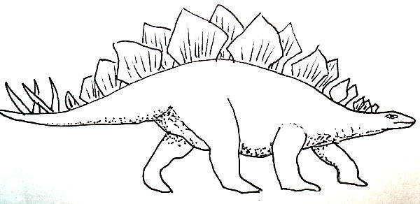 stegosauro 132