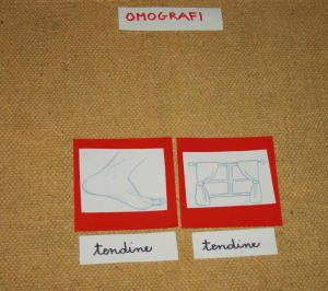 omografi Montessori 18