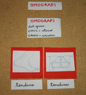 omografi Montessori 19