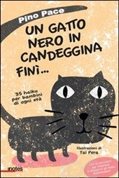 un gatto nero in candeggina finì