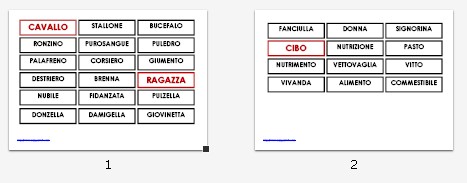 Sinonimi col metodo Montessori