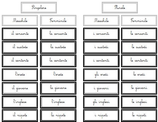 genere e numero del nome Montessori 7