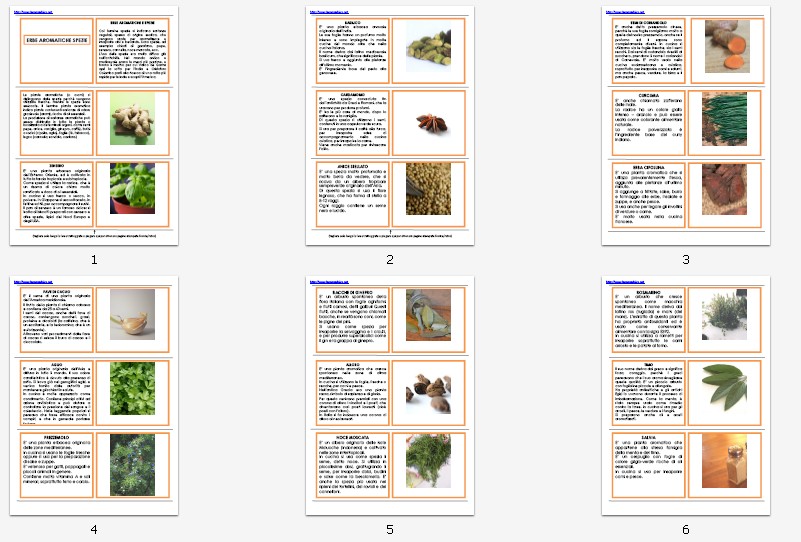 libretto per le nomenclature 6-9 ERBE AROMATICHE E SPEZIE33