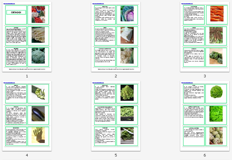 libretto per le nomenclature 6-9 ORTAGGI102