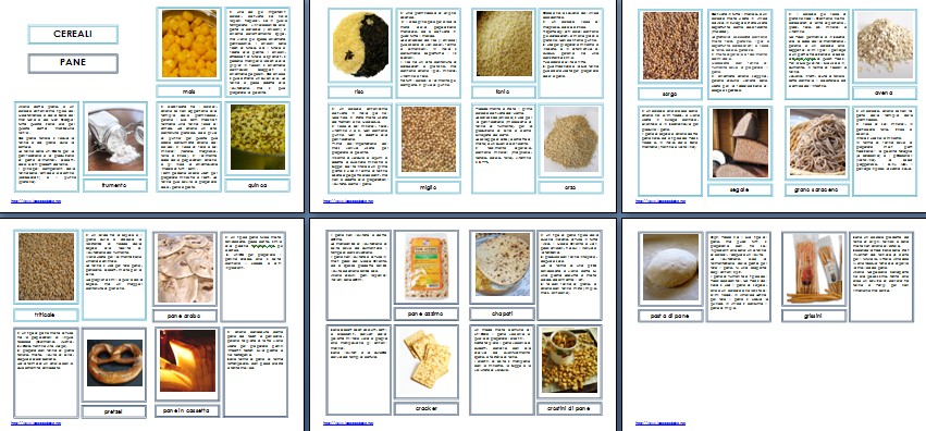 nomenclature 6-9 CEREALI E PANE 7