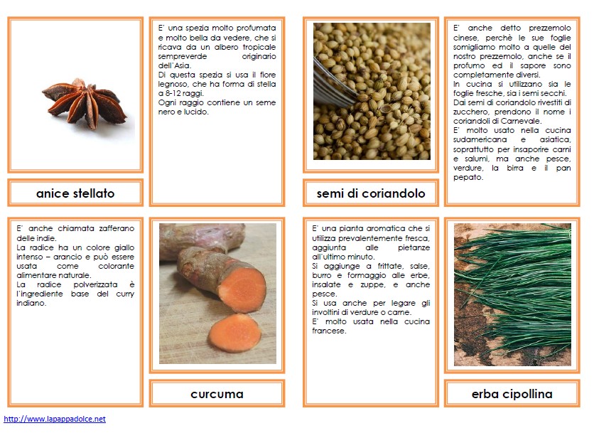 nomenclature 6-9 ERBE AROMATICHE E SPEZIE44