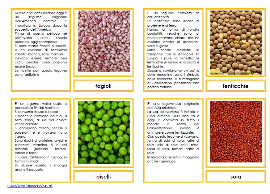 nomenclature 6-9 LEGUMI101