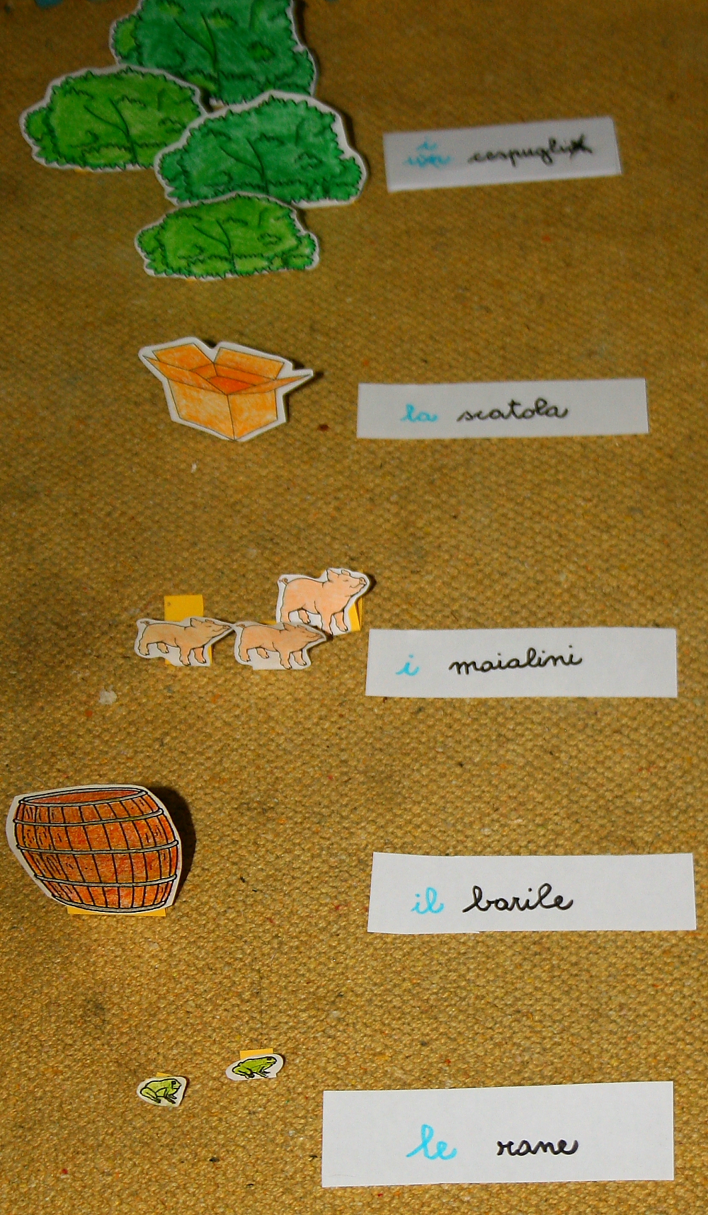 plurale articoli Montessori 4