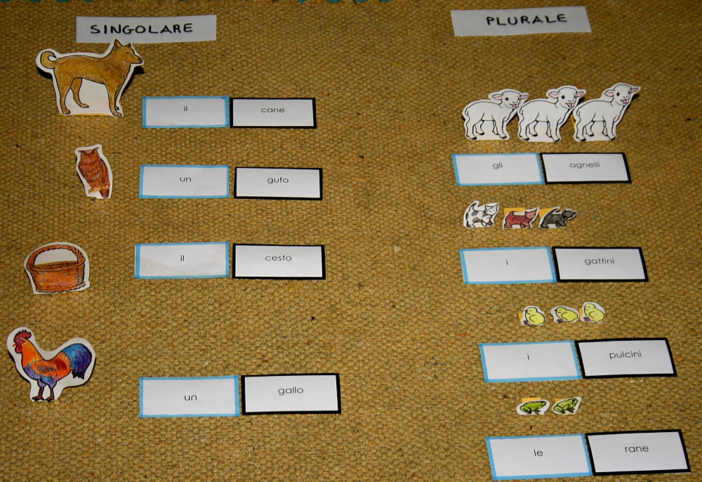 plurale articoli Montessori 8