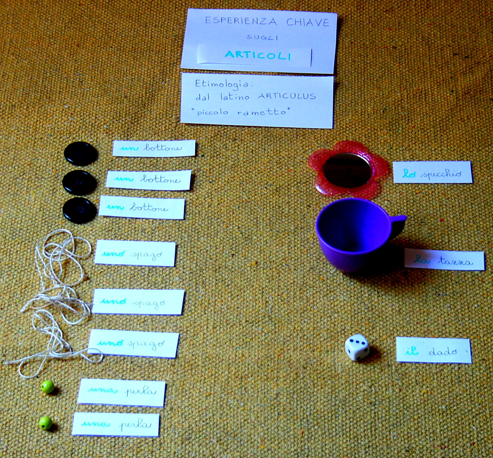 Psicogrammatica Montessori: esperienze chiave sull'articolo