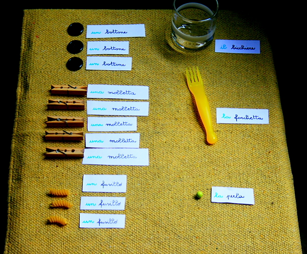Psicogrammatica Montessori: funzione dell'articolo