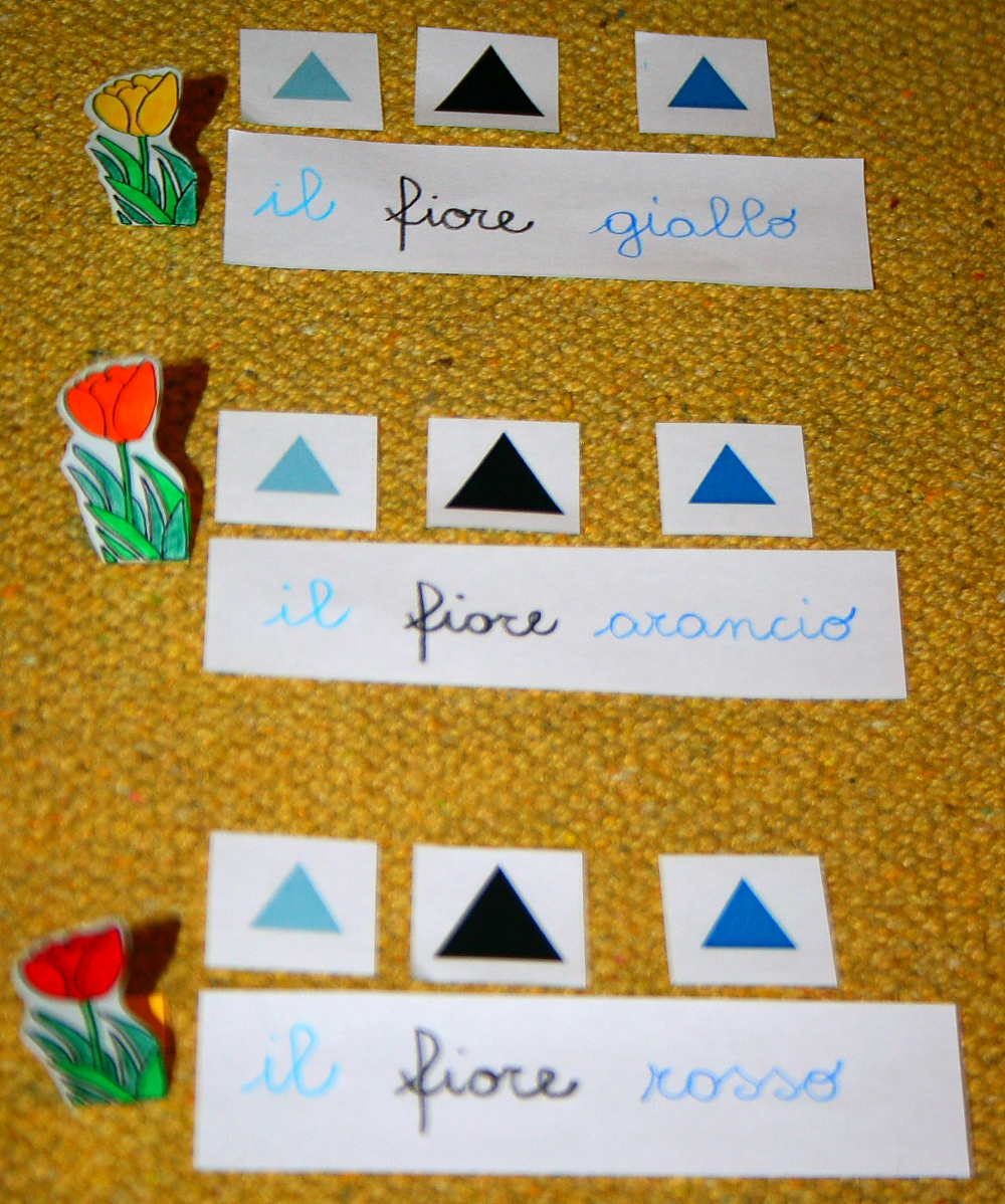 Psicogrammatica Montessori: funzione dell'aggettivo