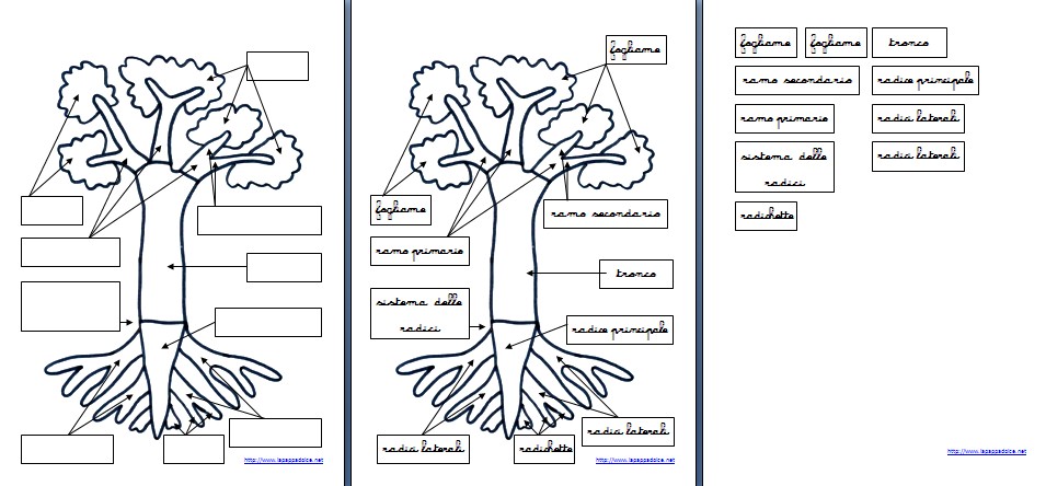 incastro dell'albero download