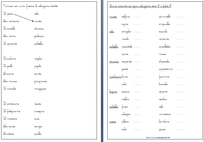 Esercizi Di Grammatica Per La Classe Seconda Lapappadolce