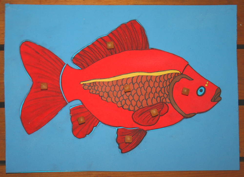 Incastro del pesce Montessori