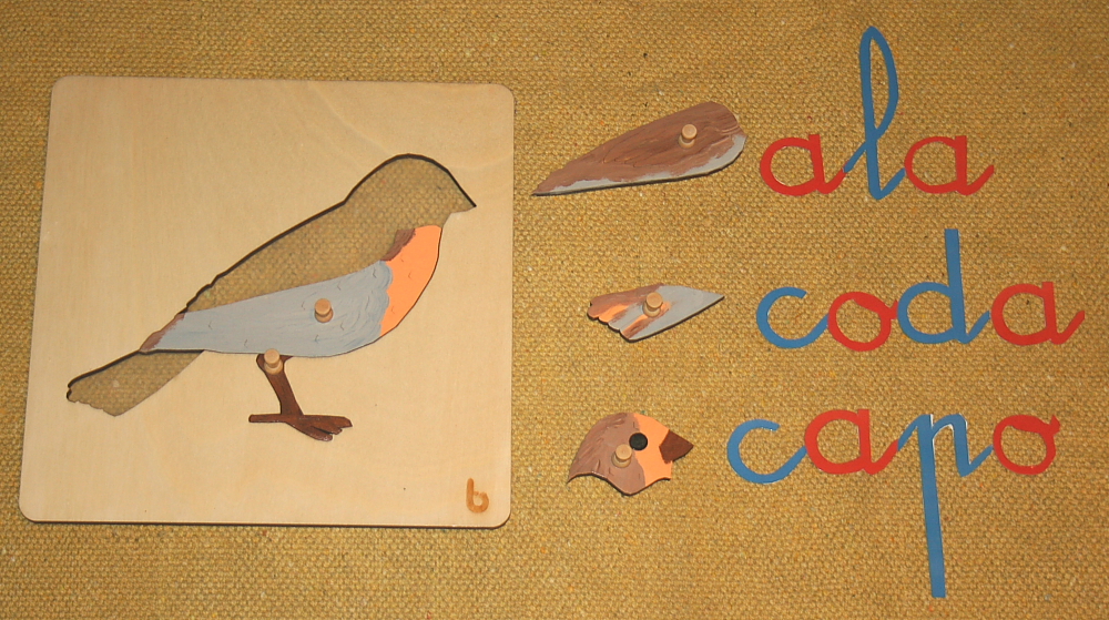 Incastro dell'uccello Montessori