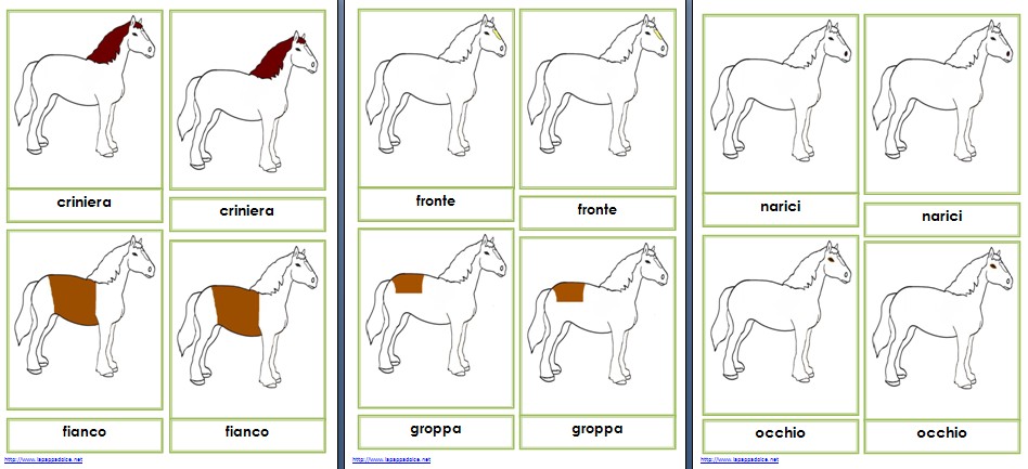 Incastro Del Cavallo Montessori Presentazioni Ed Esercizi