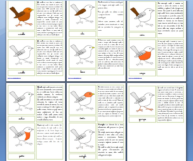 Nomenclature Montessori per le parti dell'uccello