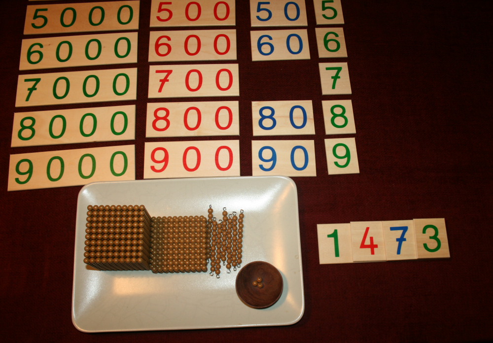 Esercizi coi cartelli dei numeri e le perle dorate Montessori 