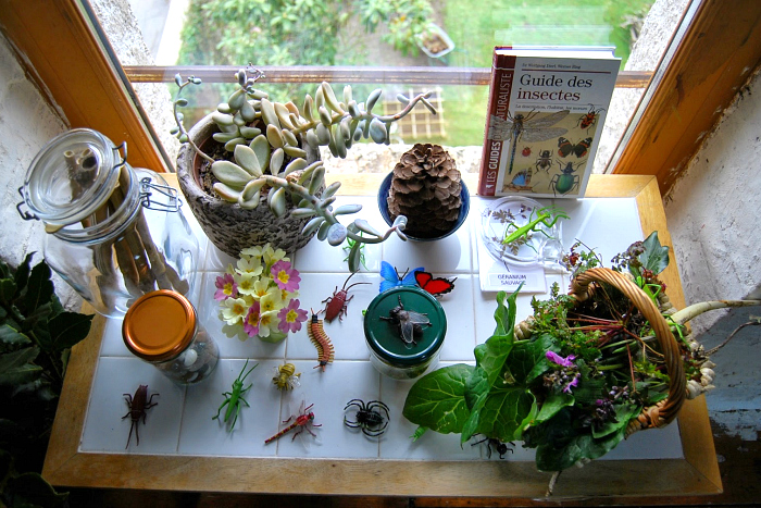 Introduzione alla Botanica col metodo Montessori